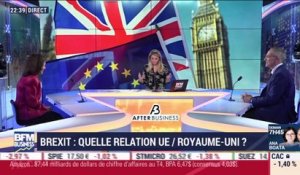 Brexit : quelle relation future entre l’UE et le Royaume-Uni ? (2/2) - 30/01