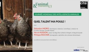 Conférence de Philippe Rocher, Hervé Husson et Sébastien Moro : Quel talent ma poule !