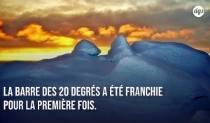 Pour la première fois de notre Histoire, l'Antarctique a franchi la barre des 20 degrés