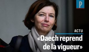 Florence Parly : «Il y a une résurgence très forte de Daech»