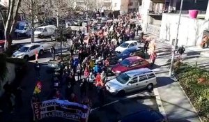 Manifestation à Annecy