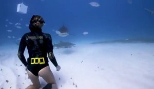 La vidéo de cette femme qui apprivoise un requin est vraiment hypnotisante.. Mais beaucoup ne verront pas le requin