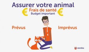Souscrire une assurance animaux