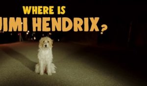 Where is Jimi Hendrix - Bande annonce VF