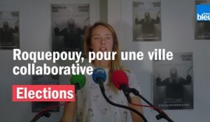 Municipales 2020 : Roquepouy, pour une ville collaborative