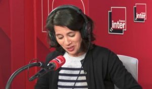 Darwin, le pangolin, le PQ et moi - Le Billet de Sophia Aram