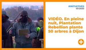 VIDÉO. En pleine nuit, Plantation Rebellion plante 50 arbres à Dijon