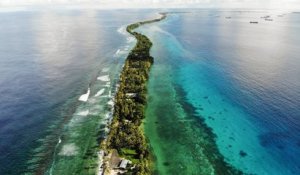 Coraux, forêt : les conséquences désastreuses du réchauffement climatique
