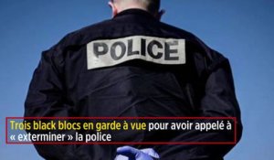 Trois black blocs en garde à vue pour avoir appelé à « exterminer » la police