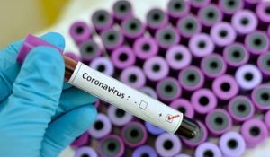 Coronavirus : qu'est ce qu'un plateau épidémique ?
