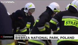 Pologne : le parc de Biebrza en proie aux flammes