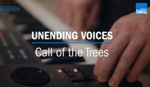 On reste en contact : le groupe de pop folk Call of the Trees