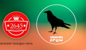 Crow - Flamingo Walk (Abdullah Özdoğan Remix)