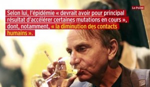 Coronavirus : Michel Houellebecq estime que « tout restera exactement pareil » après