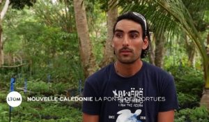 Nouvelle-Calédonie : La ponte des tortues