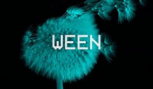 MVGEN: ween : Loop De Loop Lyrics