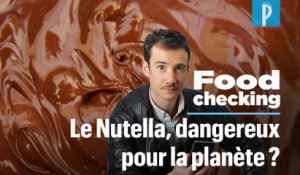 Le Nutella est-il (vraiment) mauvais pour la planète ?