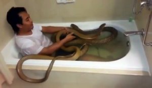Petit bain avec son cobra royal