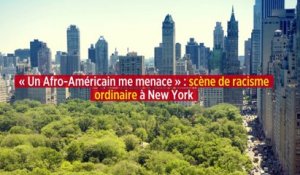 « Un Afro-Américain me menace » : scène de racisme ordinaire à New York