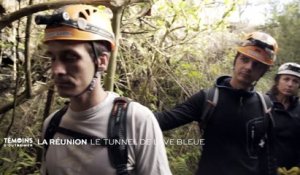 La Réunion : Le tunnel de lave bleue