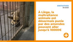 À Liège, la maltraitance animale est désormais punie par des amendes pouvant aller jusqu'à 10000€
