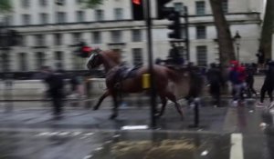 À Londres, un cheval de la police s'échappe et fonce dans le cortège de manifestants