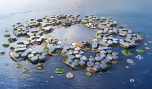 Vivre sur l'eau : des premières villes flottantes dès 2022 ? | Coming Next avec Marc Collins Chen