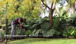 Guadeloupe : Le jardin de Coluche