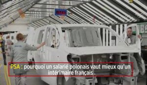 PSA : pourquoi un salarié polonais vaut mieux qu’un intérimaire français