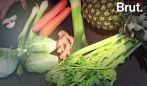 Tuto : Comment faire pousser des légumes avec des restes ?