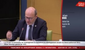 audition de Rémy RIOUX, directeur général de l'Agence française de développement - Les matins du Sénat (16/06/2020)