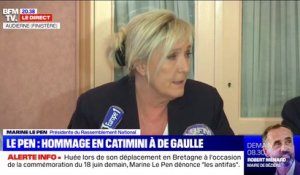 Marine Le Pen: "Les antifas ont gâché la manifestation des soignants, des gilets jaunes et des travailleurs du 1er-Mai"