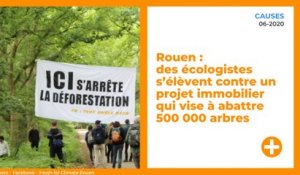 Rouen : des écologistes s’élèvent contre un projet immobilier qui vise à abattre 500000 arbres