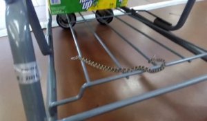 Ce petit serpent est accroché à un caddie au supermarché