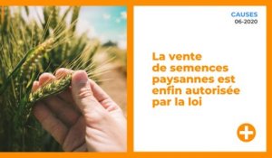 La vente de semences paysannes est enfin autorisée par la loi