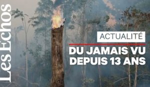 Brésil : l'Amazonie de nouveau sous la menace des incendies