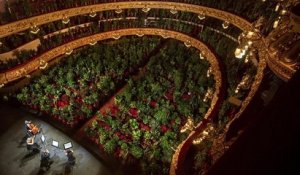 Plus de 2000 plantes ont servi de public lors d'un concert pour la réouverture de l'opéra de Barcelone