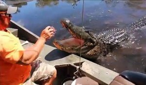 Il nourrit un énorme crocodile sauvage à la main depuis son bateau