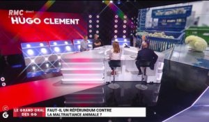 Le Grand Oral d'Hugo Clément, journaliste - 10/07