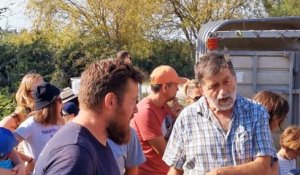 Saint-Gilles : lâcher de canards dans les rizières de Bernard Soujol et Mathieu Lacan