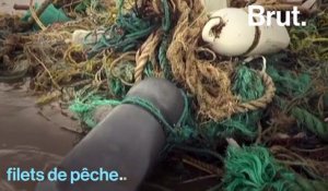 Au Bangladesh, une marée géante de plastique piège des tortues