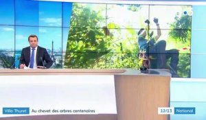 Alpes-Maritimes : opération rafraîchissement pour les arbres centenaires de la villa Thuret