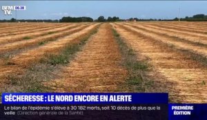 Sécheresse en France: cet agriculteur a perdu près de 30% de sa récolte