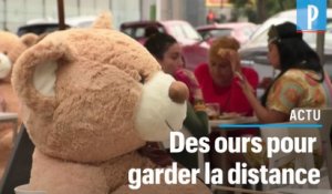 Des ours en peluche pour garder la distance dans un café au Mexique