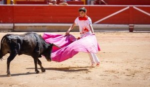 Suite à la reprise des corridas en Espagne, des militants relancent les appels pour interdire la tauromachie