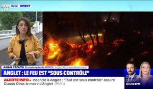 Incendie à Anglet: le feu est sous contrôle mais 65 hectares sont toujours menacés