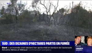Des dizaines d'hectares partis en fumée après des incendies dans le Gard et l'Ardèche