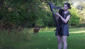 Envoutée par le son de la harpe, une biche s'invite au concert d'une jeune femme
