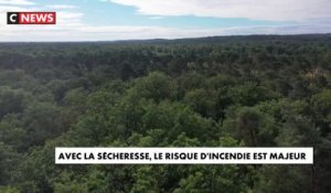 Incendies : la forêt de Fontainebleau sous surveillance des pompiers
