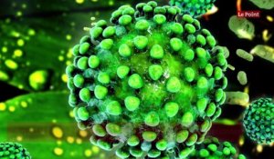 Coronavirus : la pandémie ne recule pas